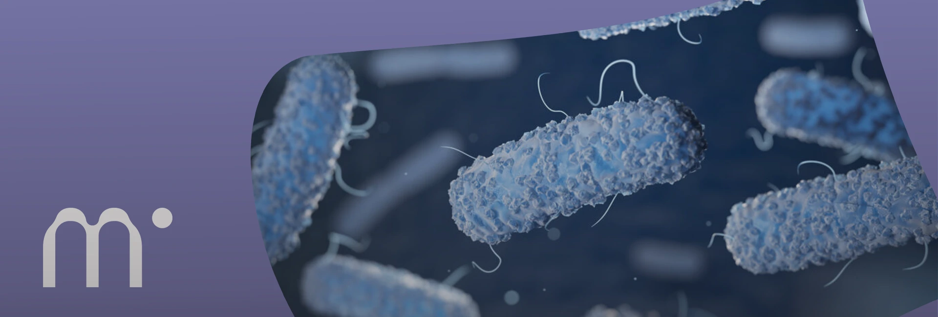  Legionella: a bactéria que mudou a história da climatização no Brasil e no mundo')